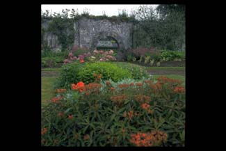Mount Juliet Conrad & Garden - Thomastown County Kilkenny Ireland